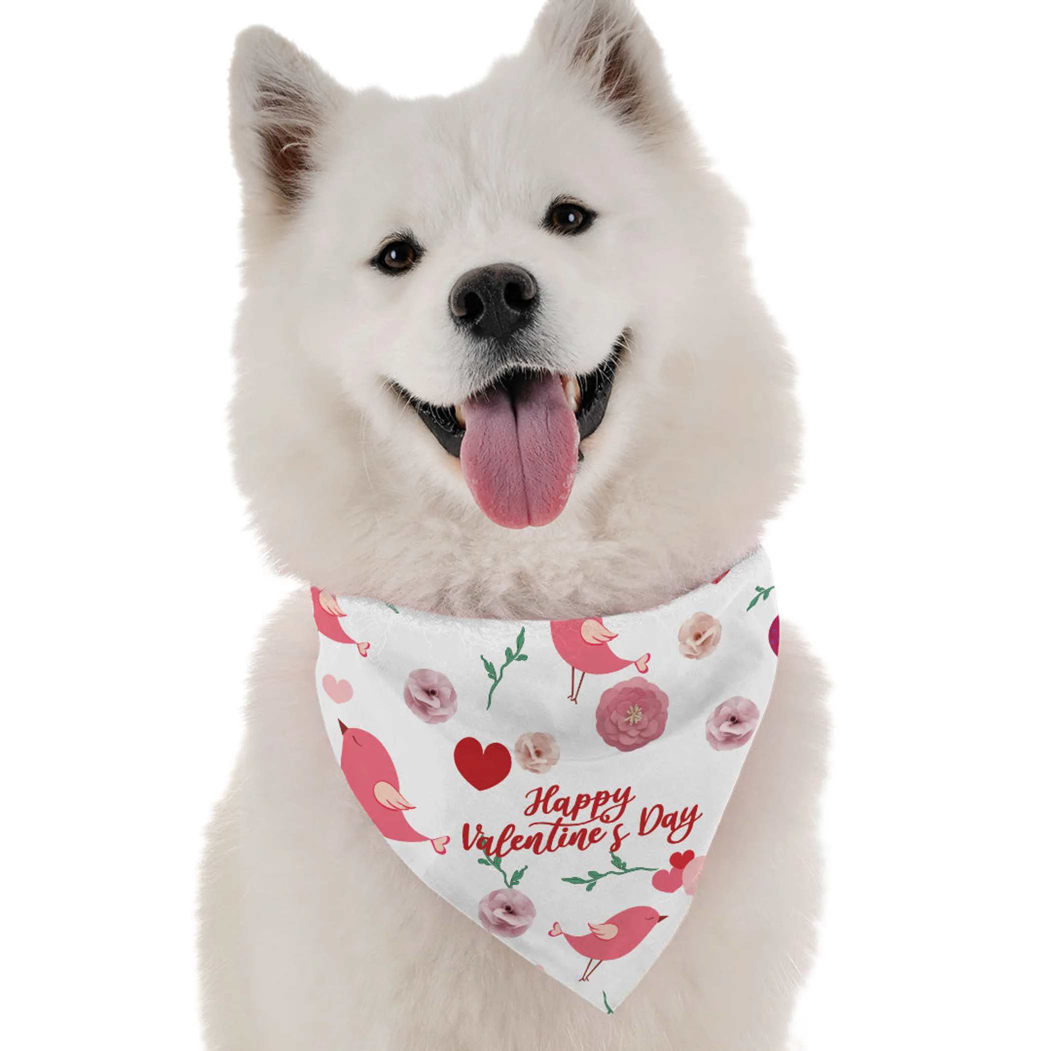 Bandoggies Dog Bandana - Happy Valentine's Day