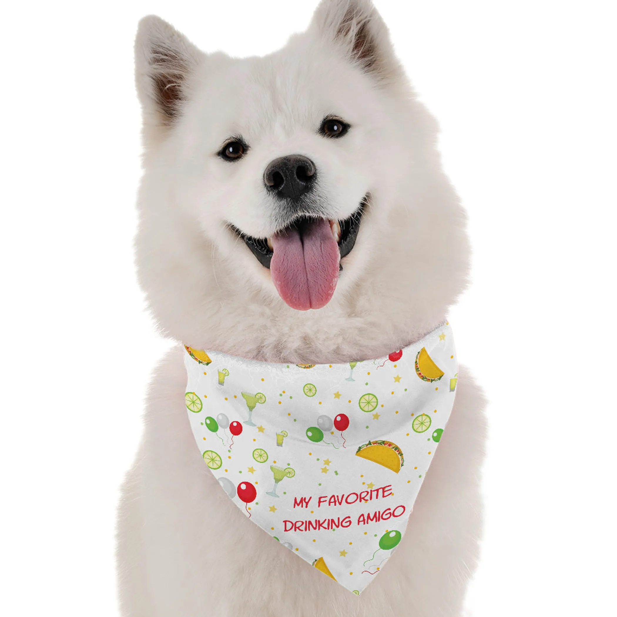 Bandoggies Dog Bandana - My Favorite Drinking Amigo