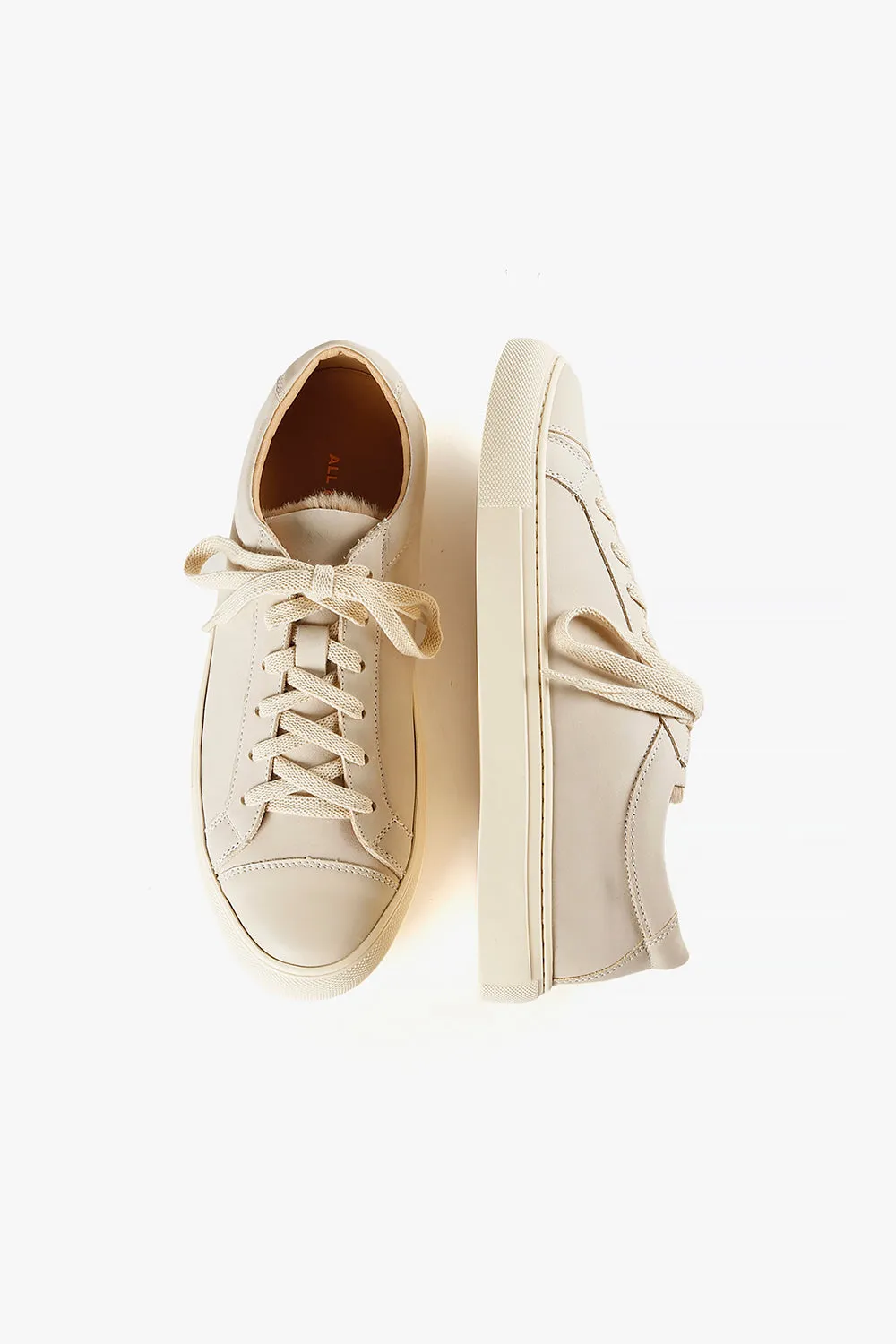 Comfy Trainer