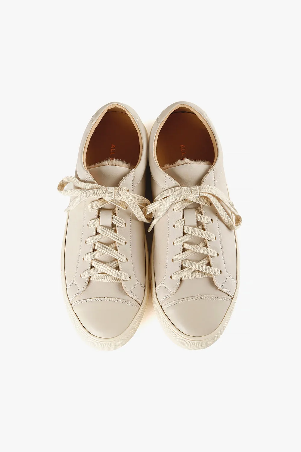 Comfy Trainer