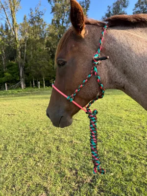Cowboy Halter with Lariat Noseband - Pink, Aqua & Brown
