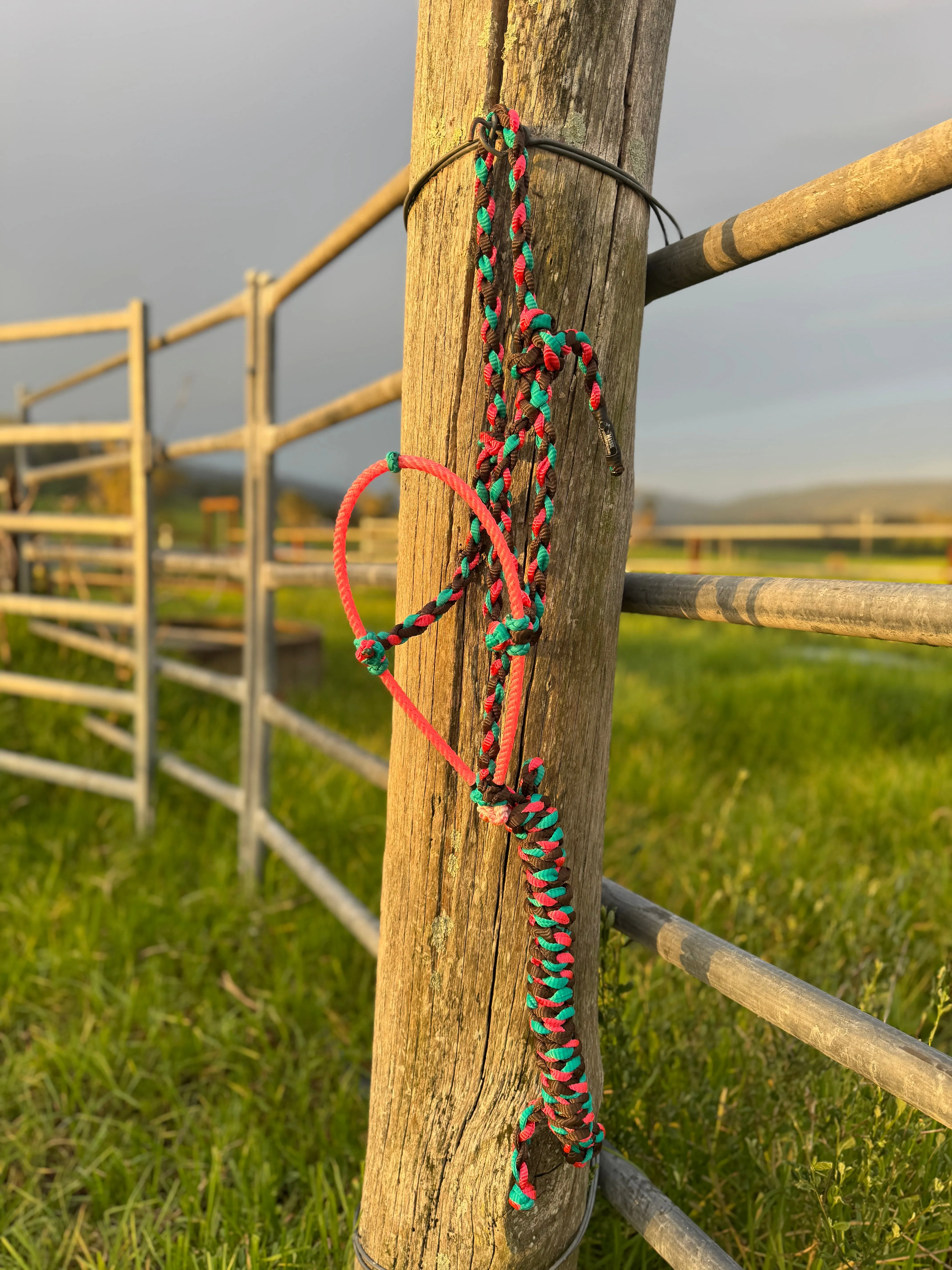 Cowboy Halter with Lariat Noseband - Pink, Aqua & Brown