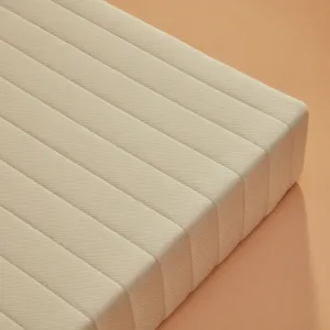 Earthfoam Organic Mattress