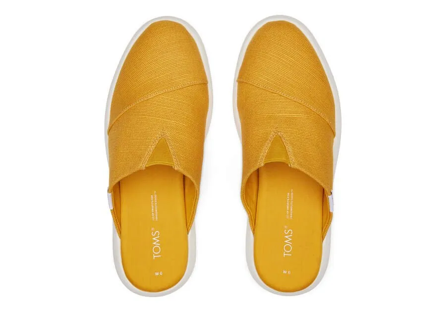 Mule Mallow Golden Yellow