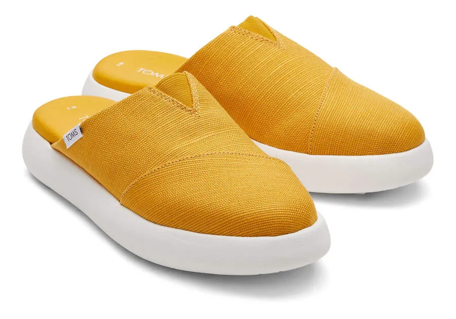 Mule Mallow Golden Yellow