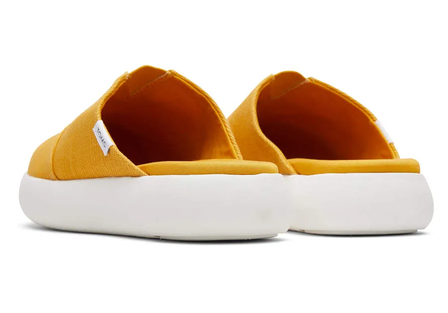 Mule Mallow Golden Yellow